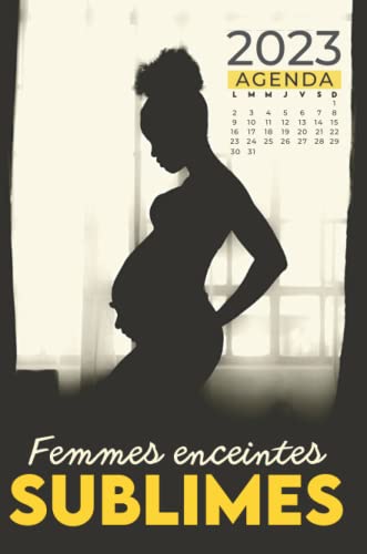 AGENDA 2023 femmes enceintes SUBLIMES: Calendrier Femme Enceinte | Agenda