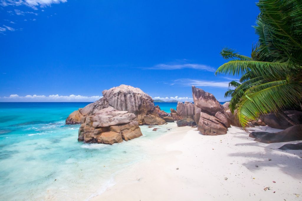 Que faire aux Seychelles ? Un paradis à explorer