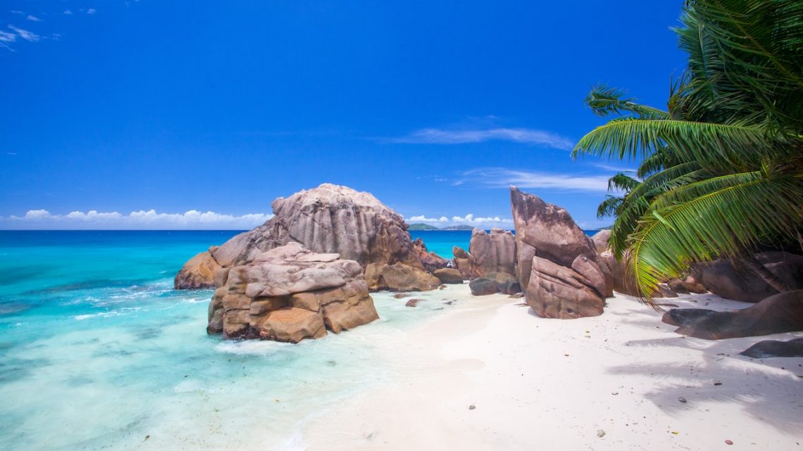Que faire aux Seychelles ? Un paradis à explorer