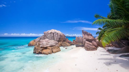 Que faire aux Seychelles ? Un paradis à explorer