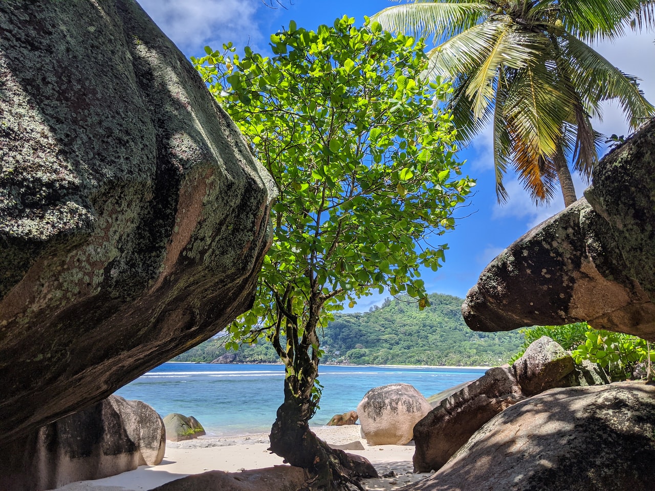 seychelles plage rocher